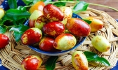 新疆土特产 新疆有什么土特产