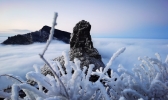雪景云海相呼应 贵州梵净山如入仙境