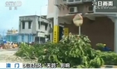 台风“天鸽”已致17人遇难 目前广东中山港已复航