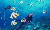 国外潜水胜地推荐 国外潜水胜地介绍
