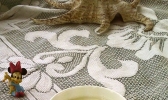 茯苓豆浆的做法