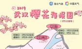打卡浪漫樱花季 2019武汉赏樱预报新鲜出炉