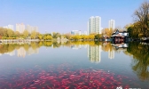 青海西宁：深秋时节人民公园景色满园惹人醉