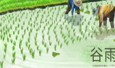 谷雨是什么意思 谷雨节气的含义