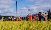 2019湖北农民丰收节庆祝活动攻略信息