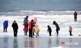 海冰覆盖大连北部海域 天然冰场成市民游乐园