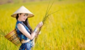 有盆腔炎能揉肚子吗