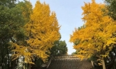 苏州古迹有哪些 苏州景点门票+交通+开放时间