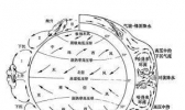 你可能没了解过“东北信风”吧