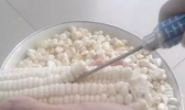 新鲜玉米怎么剥  怎样快速剥玉米