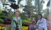西安莲湖公园菊花展9月29日开启 持续时间+活动内容2019