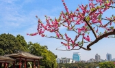 福州什么地方适合春游