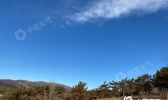 冰冻模式！内蒙古天气晴冷 锡林浩特等地气温低至-20℃以下