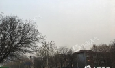 今起河北冷空气频繁 下周大部降温4-6℃雨雪稀少