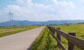 深圳清明节放假去哪里玩?