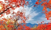 西安红叶节汇总（时间+门票）少华山红叶节2019时间