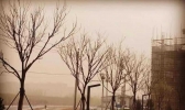 “杀人雾”是什么意思