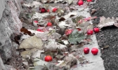 出行要注意！今冬首场寒潮影响陕西 陕北雨雪大风伴12℃降温