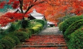 北京香山公园索道门票价格+许愿地点