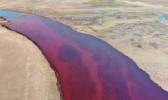 石油泄漏对海洋的危害 石油泄漏对海洋生物有什么影响