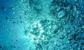 气态水和液态水哪个能量高 气态水和液态水有什么不同
