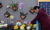 2019东四胡同菊花节时间+地点+介绍