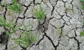 山东省气候中心：全省6月平均气温26℃为68年以来最高