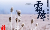 【黑龙江】霜降至，送走今年最后的秋天