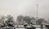 今冬华北东北一雪难求 到底是什么扼制了水汽？