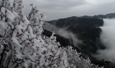 重庆金佛山小雪节气现雾凇奇观 一起来观赏吧