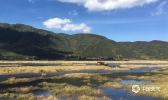 冬日暖阳下的腾冲北海湿地