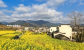 3月去婺源看油菜花怎么样 婺源看油菜花最佳地点