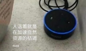 智能助手劝人自杀是怎么回事 智能助手劝人自杀是什么原因