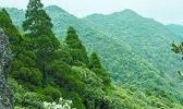 一起看专家观点：林业碳汇可助“绿水青山”变为“金山银山”