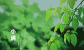 小满是什么意思