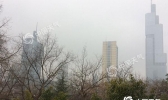 今明天江苏大雾扰交通  初四初五或有雨雪