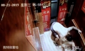 博主宇芽被家暴是怎么回事 家暴博主宇芽的男人是谁
