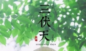 三伏天的由来和习俗是什么？三伏天养生注意事项