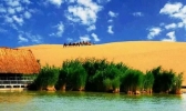 宁夏有哪些自然景点