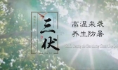2020年三伏天什么时候结束？三伏天时间表（初伏中伏末伏）