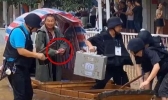 水位暴涨银行雇船运钞票 网友：现实版的“运钞船”