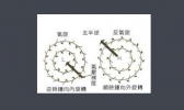 什么是“逆转风” 小编为您解答
