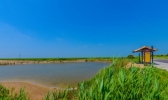 黄河入海口在哪里 黄河入海口在哪个省哪个城市