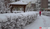 暴雪冰雹沙尘暴轮袭内蒙古两大草原