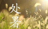 详解二十四节气——“处暑”
