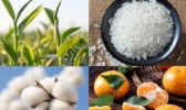 安徽淮南的饮食习惯有哪些