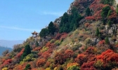 2019石门坊红叶节什么时候开始+门票+交通 石门坊看红叶怎么样