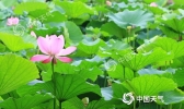 未来三天雨水渐多 气温略有下降