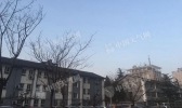 北京今天最高温达22℃将创今年来新高 空气质量转为良