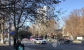 明天河南阵风6～7级 周后期部分县市气温或破同期极值
